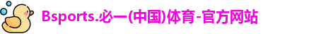 B体育官网